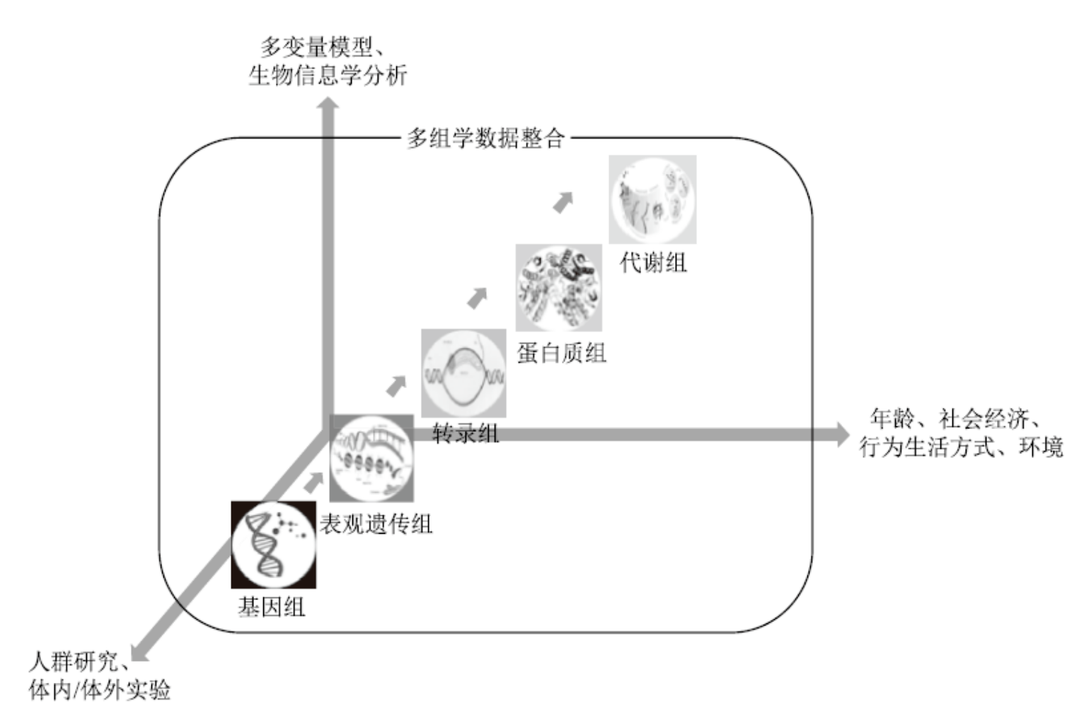 精准医疗 精准医疗