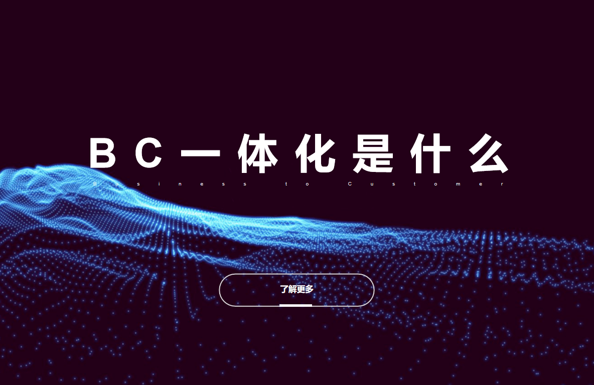 BC一体化