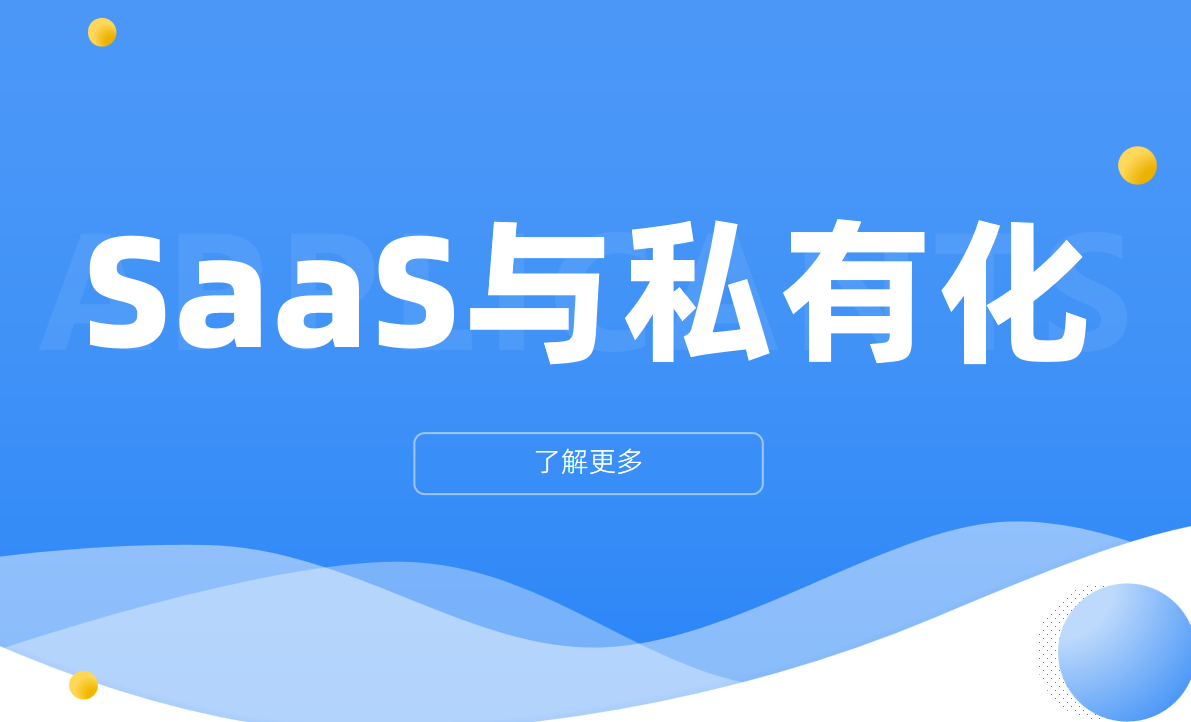 saas与私有化CRM