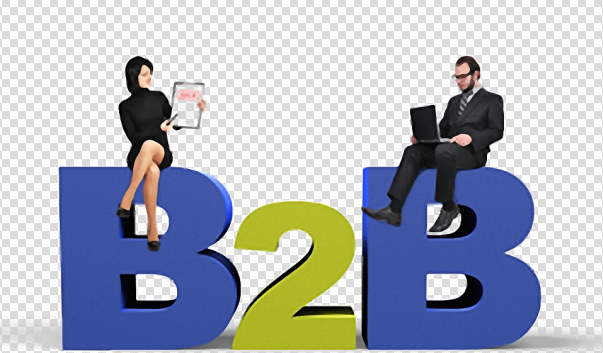 <b>B2BҵCRMϵͳרҵĴ</b>