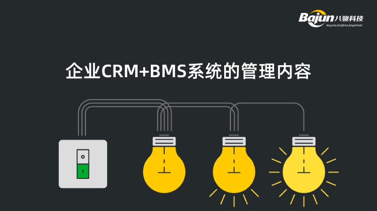 <b>企业CRM+BMS系统的管理内容</b>